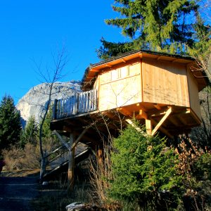 cabane dans les arbres