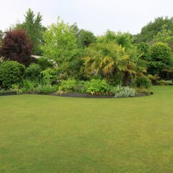 conception de jardin mai 2025